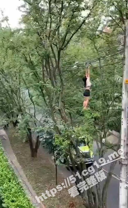 这是咋挂上去的？妹子双手挂在十几米高的电线上 体力不支摔在树上倒地不起！-51吃瓜网