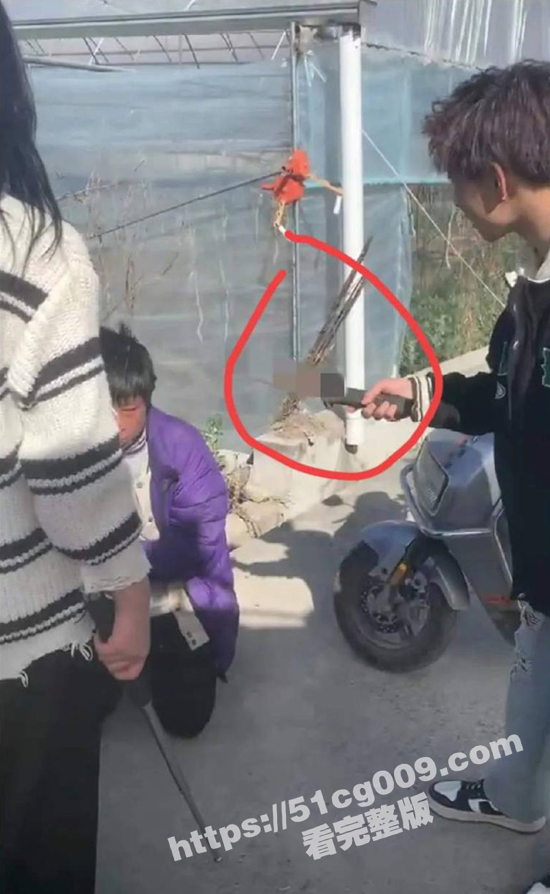 古惑仔看多了吧!四川冕宁 女孩纠集多人围殴霸凌男孩 长达8分钟殴打视频流出! - 51吃瓜网-51吃瓜网