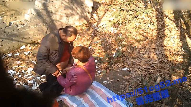 老书记丧偶后为了解决生理问题 只好在村附近打野食 插几下看一看再继续插 完事还伸手摸一摸野鸡的下面-51吃瓜网