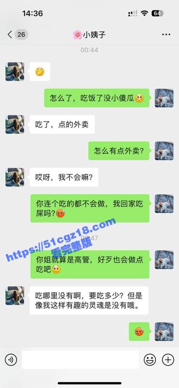 51原创大神 小姨子的秘密 夜伺姐夫彻底放荡 醒后操鞋舔逼扣喷 射遍高跟与翘臀！-51吃瓜网