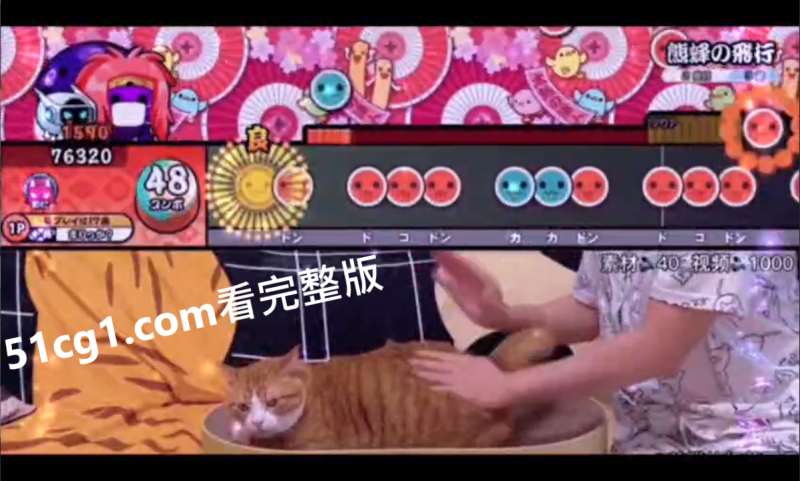 太鼓打猫-51吃瓜网