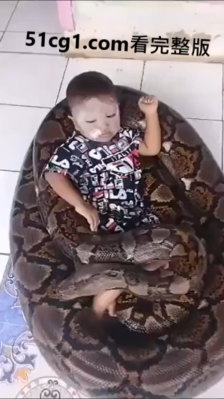 这么大只的蛇，小孩都不怕，玩起来了-51吃瓜网