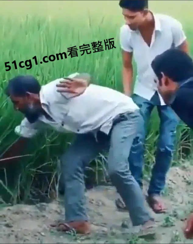 “小心草丛！”-51吃瓜网