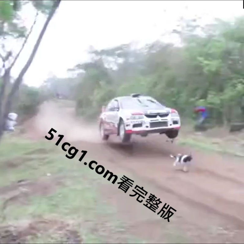 那些命硬的人-51吃瓜网