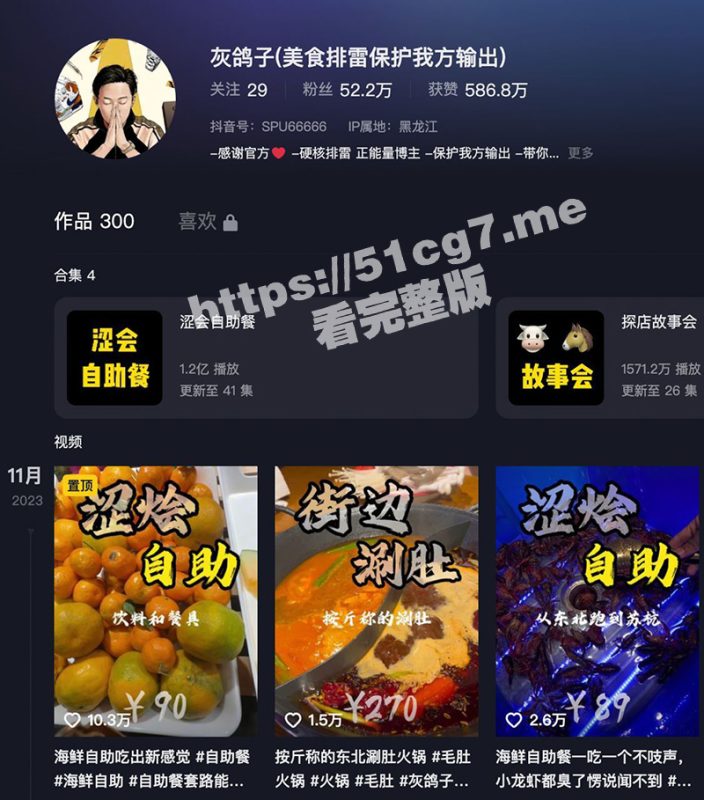 灰鸽子雪乡旅游14分钟视频 全网已下架且看且珍惜！因抹黑旅游形象已被行政拘留！-51吃瓜网