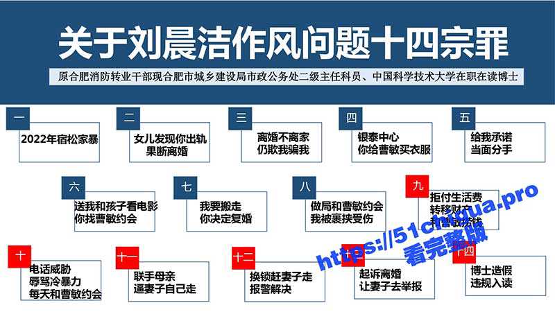 关于刘晨洁作风问题十四宗罪PPT 合肥公务员刘晨洁被前妻举报家暴、婚内出轨、博士学历造假 完整版53页PPT来了-51吃瓜网